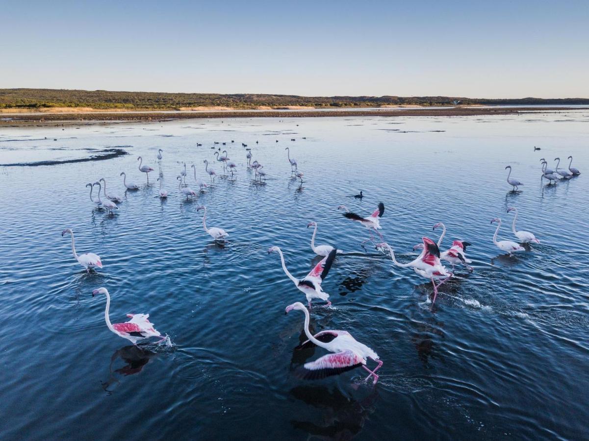 Coot Club Otel Stanford Dış mekan fotoğraf
